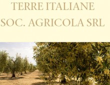 Terre Italiane _ Catologue project